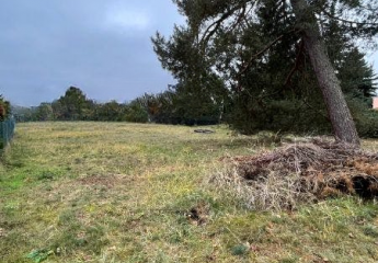 Sofort bebaubares großzügiges Baugrundstück im schönen Borgsdorf