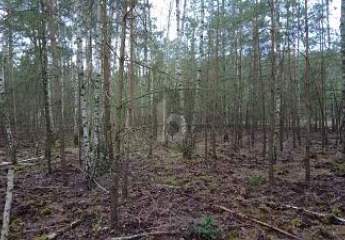 IHR TRAUM IM GRÜNEN UMFELD WIRD WAHR