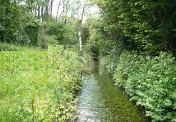 GROSSES HAUS MIT BACHLAUF UND EXTRA WEIHER