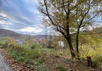 IHR RÜCKZUGSORT: 960 M² INMITTEN DER NATUR