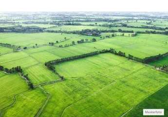 Land- / Forstwirtschaft in 09244 Lichtenau, Leichenweg