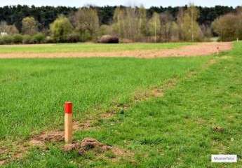 Land- / Forstwirtschaft in 07407 Uhlstädt-Kirchhasel, In der Döllnitz