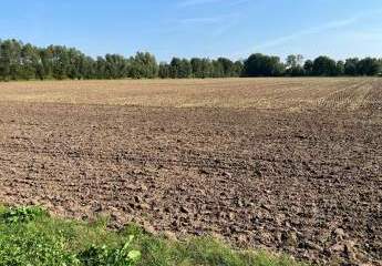 Delbrück: Knapp 6 ha Ackerland in Hagen zu verkaufen! #richimmo