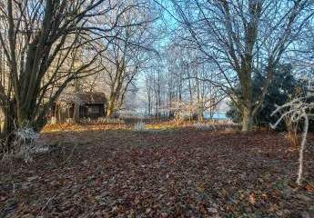 Wunderschönes Waldstück nahe Vilsbiburg