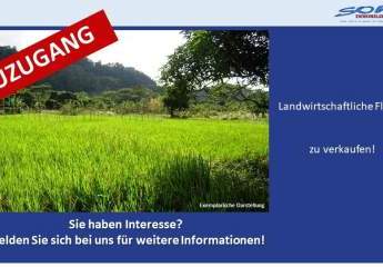 Großzügige Landwirtschaftsfläche oder Ausgleichsfläche zu verkaufen in Syrgenstein - Ein Objekt von SOWA Immobilien & Finanzen Ihrem Immobilienprofi vor Ort