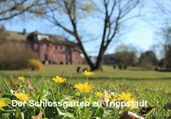 Stilvolles Wohnen muss nicht teuer sein! Erdgeschosswohnung mit tollem Ausblick zu verkaufen.