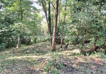 Geschlossene Garten mit See und Wald in der Nähe von Nagykanizsa zu verkaufen