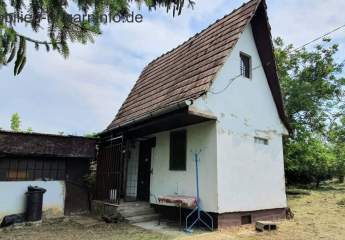 Bewohnbares Keller-/Pressenhaus südlich des Plattensees zu verkaufen