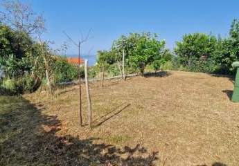 Wohnung im Erdgeschoss mit Garten