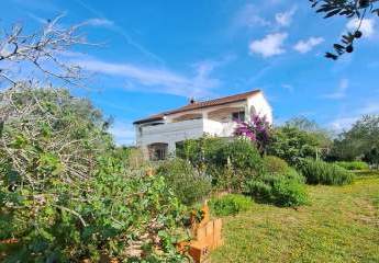 Haus mit mediterranem Garten in ruhiger Lage, Region Muline, Insel Ugljan