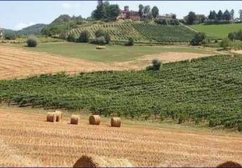 ***Großes Landhaus auf 43 Hektar Landfläche in der Lombardei, sucht neuen Eigentümer***