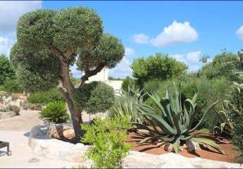 ***Großes Haus zur Nutzung als B&B mit Schwimmbädern und Gartenanlage in Apulia Salento Masseria***