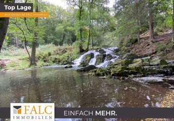 Waldgrundstück im Nationalpark Harz: Natur-Wald im Selketal gegenüber Wasserfall  29.485 m²