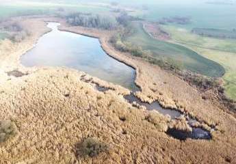 Fischgewässer in der Uckermark: mit Zugangsgrundstück Wollenthinsee: Seegrundstück 17291 Prenzlau