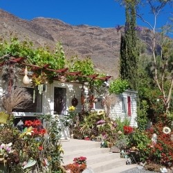 Gran Canaria: Garten mit Haus