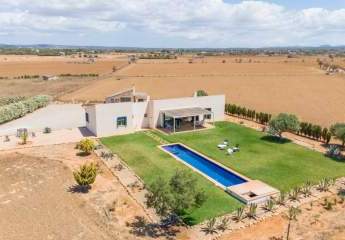 Moderne Finca in Campos mit Olivenbaum-Plantage und großem Pool