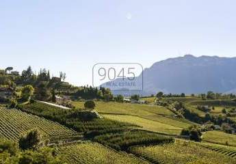 Secret Sale: Villa mit Luxus und traditionellem Flair in Bestlage in Eppan / Girlan - Südtirol