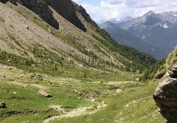 Einzigartig: Alm- und Waldeigentum samt potenzieller Jagdmöglichkeit am Brenner - Südtirol