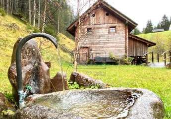 Almhütte (alte Mühle) in den Dolomiten - Südtirol