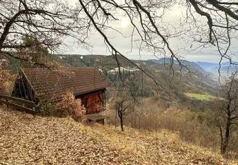 Secret Sale: Hof samt Heuschupfe und Almhütte am Ritten - Südtirol