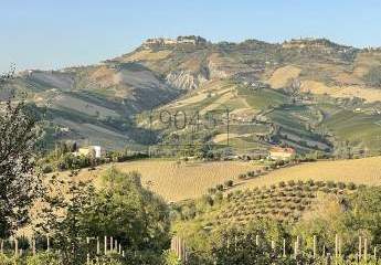 Elegantes Anwesen mit Park inmitten der malerischen Hügellandschaft in Offida in den Marken - Italien