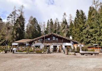 Berghütte mit Restaurant und B&B in den Dolomiten in Ville di Fiemme - Trentino