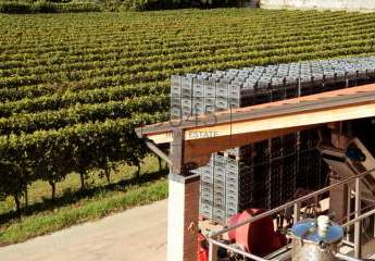 14ha grosses Weingut in der Valpolicella bei Verona - Gardasee