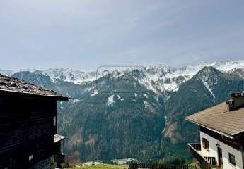 Bergbauernhof mit atemberaubenden Bergblick im Tauferer Tal - Südtirol