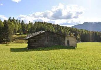 Charmanter Altbestand mit genehmigtem Projekt in Bellamonte - Trentino / Südtirol