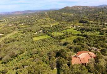 Prächtiges Anwesen mit Olivenhain und zwei kleinen Seen in Palau und unweit von Porto Rafael - Sardinien