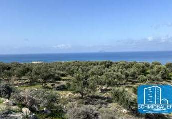 Kreta, Pitsidia: Grundstück mit herrlichem Meerblick oberhalb von Kalamaki zu verkaufen