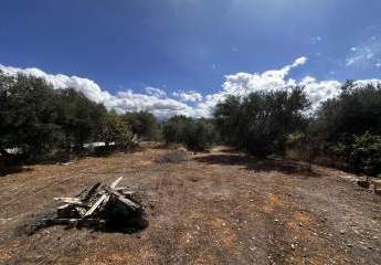 Kreta, Vamvakopoulo: Flaches Grundstück mit 150 m² bebaubarer Fläche in erstklassiger Lage