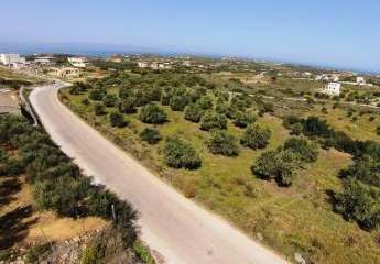 Kreta, Chorafakia: Olivenbäume und Meerblick - in der Nähe von Stränden