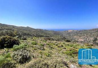 Kreta, Saktouria: Einzigartiges Stück Land mit Panoramablick zu verkaufen