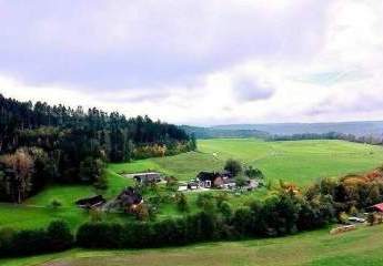 Traumhaftes Reitanwesen in idyllischer Lage nahe der Schweizer Grenze