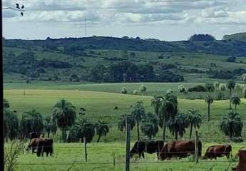 34ha. Bauernhof in Uruguay