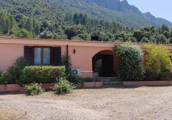 Haus in Dorgali/oddoene