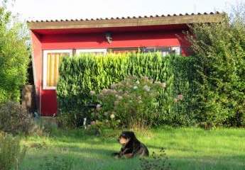 Pachtgrundstück mit Gartenlaube bei Wolgast