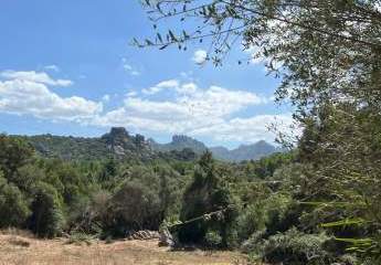 Sardinien Costa Smeralda: Grüner landwirtschaftlicher Rückzugsort